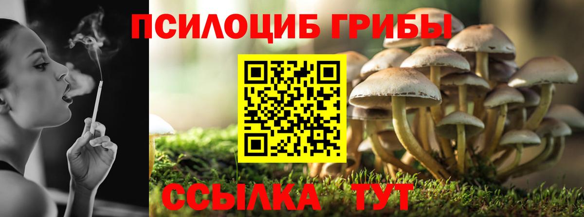 Новочебоксарск  Галлюциногенные грибы мухоморы  Псилоцибиновые грибы Psilocybine cubensis  Вход с VPN 